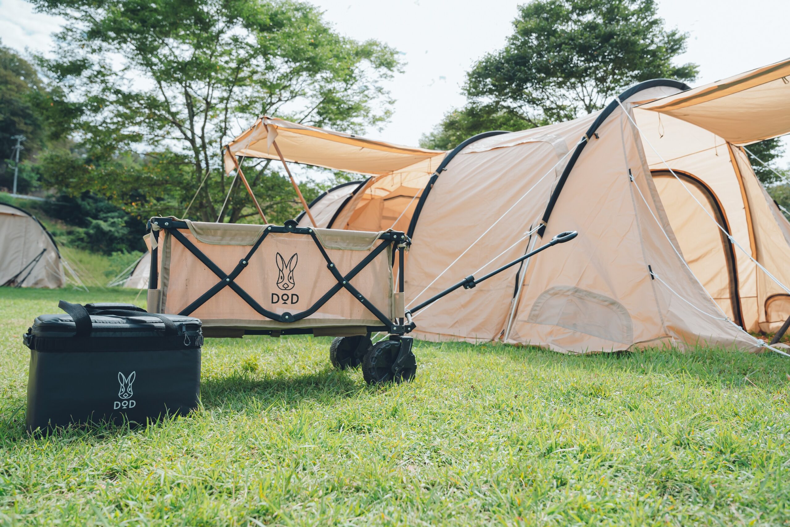 DOD CAMPへのキワミプラン販売開始のお知らせ